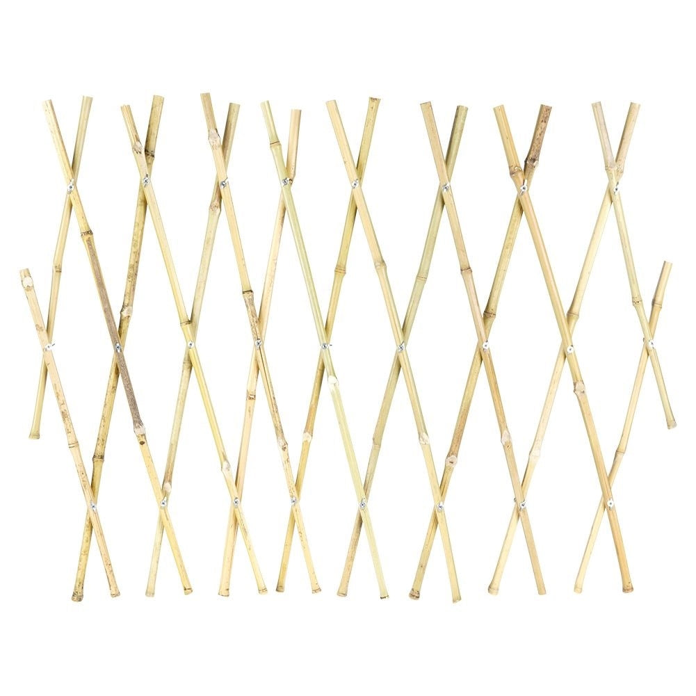 Retractable bamboo trellis for climbing plants in the garden