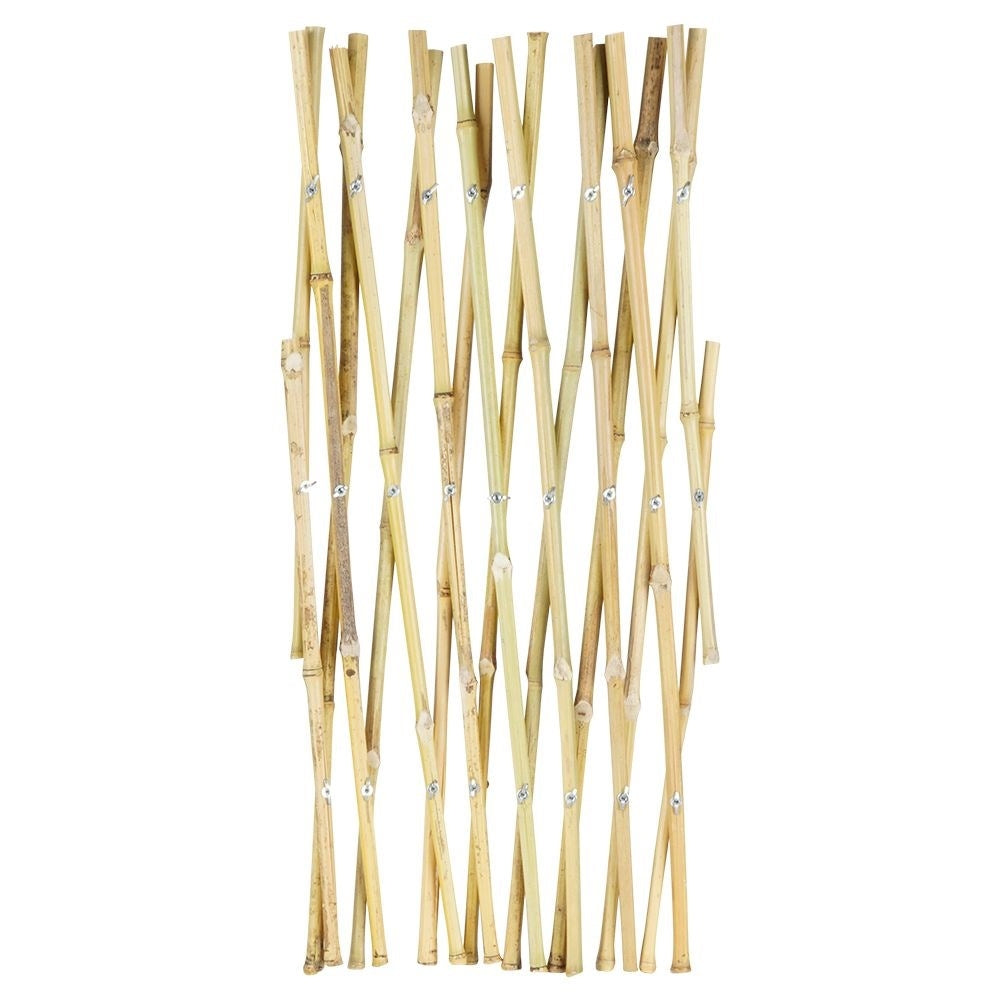Retractable bamboo trellis for climbing plants in the garden