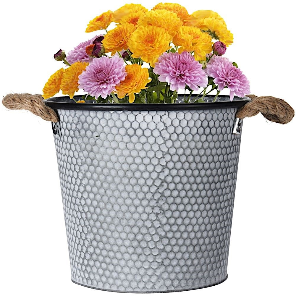 Retro Metal Pot with Rope Handle for Indoors and Outdoors