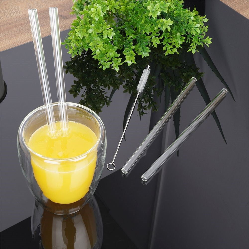 Reusable glass tubes with brush for drinks