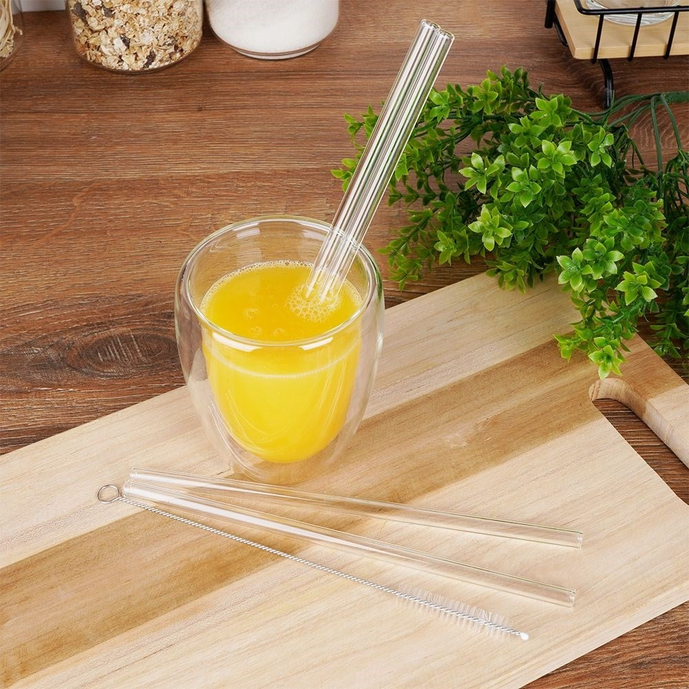 Reusable glass tubes with brush for drinks