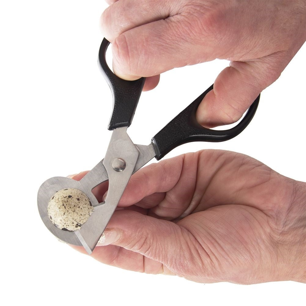 Robust egg cutter for quail eggs, dishwasher safe