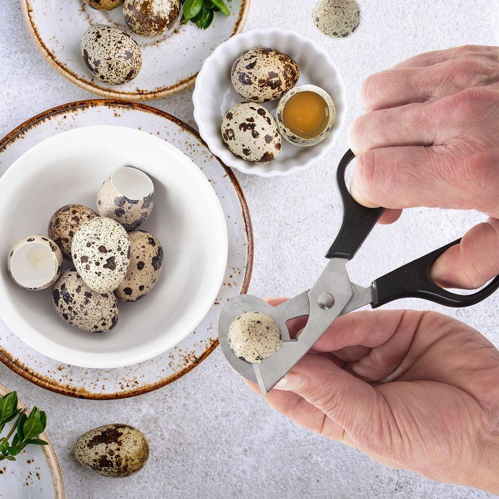 Robust egg cutter for quail eggs, dishwasher safe