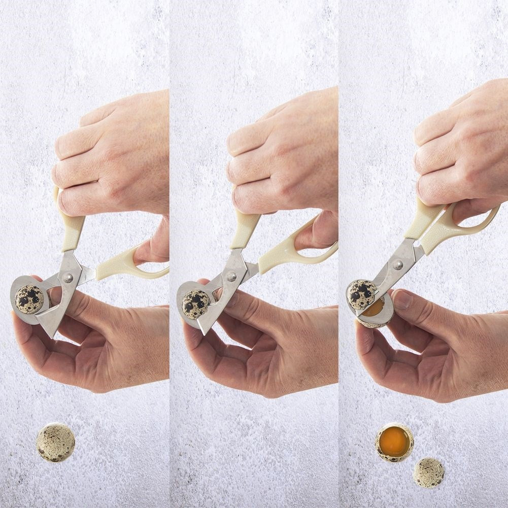 Robust egg cutter for quail eggs, dishwasher safe