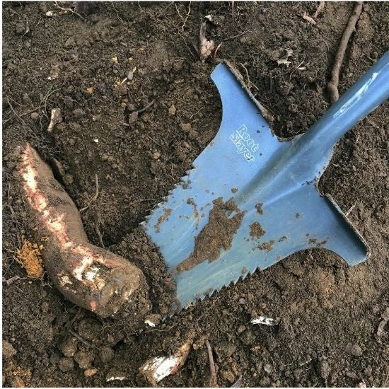 Root Slayer Garden Spade, Carbon Steel, Sharp Teeth