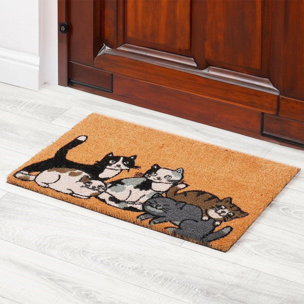 Rubberized coconut fiber doormat 60x40 cm