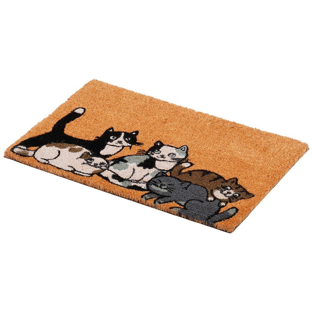 Rubberized coconut fiber doormat 60x40 cm