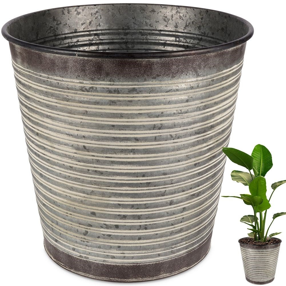 Rusty pot in galvanized metal for all plants