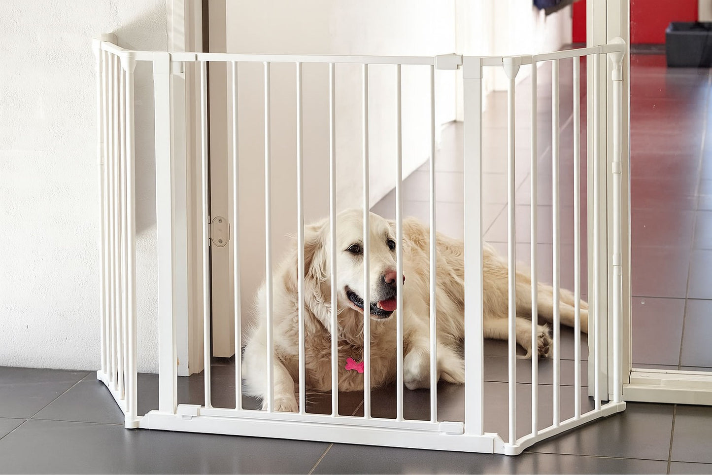 Safety Gate Playpen for Kids & Pets – 5 Panels, 60 cm, Metal