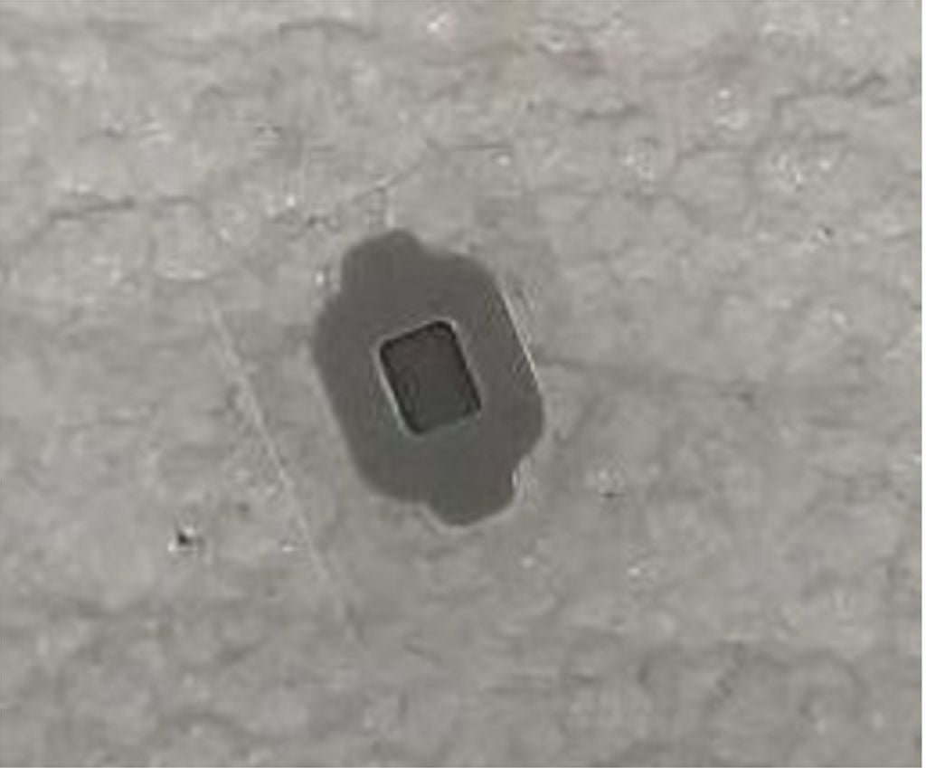 Samsung Galaxy S24 Adhesive Bottom Mic Mesh