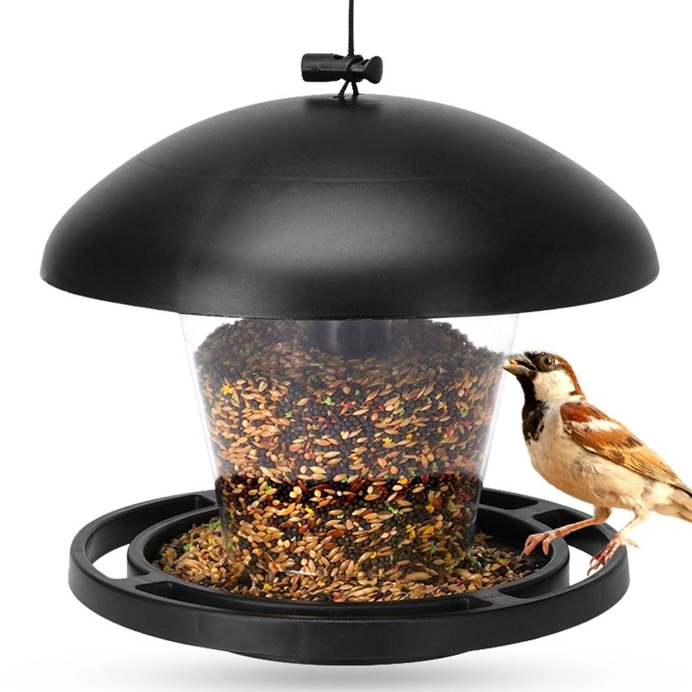 Seed Bird Feeder - Attract small birds all year round