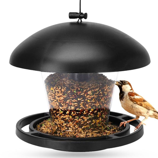 Seed Bird Feeder - Attract small birds all year round