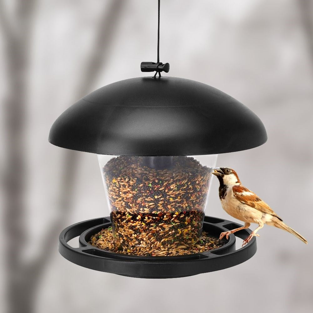 Seed Bird Feeder - Attract small birds all year round