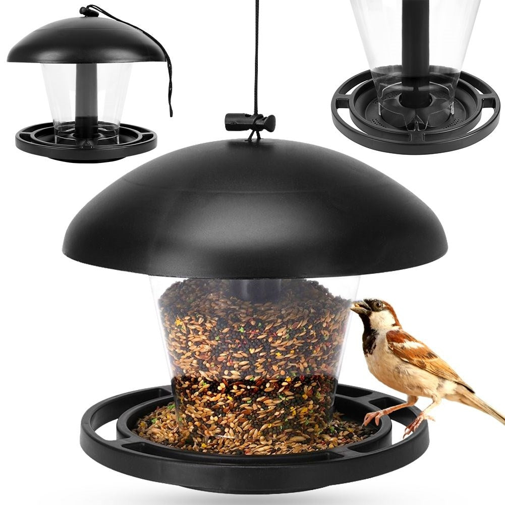 Seed Bird Feeder - Attract small birds all year round