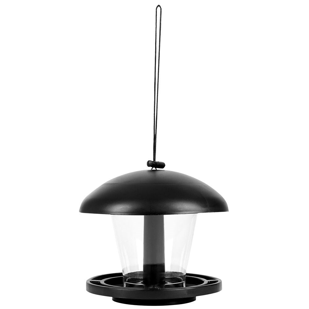 Seed Bird Feeder - Attract small birds all year round