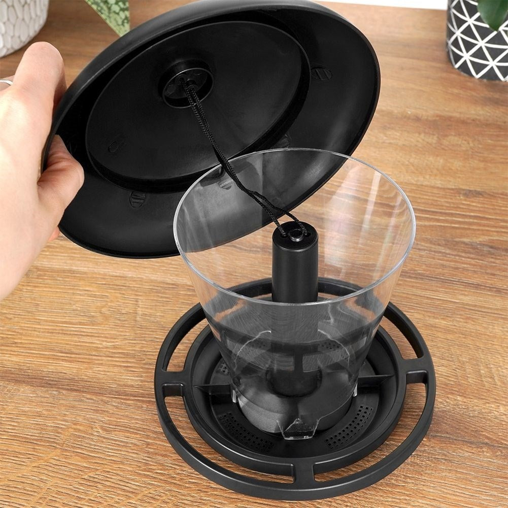 Seed Bird Feeder - Attract small birds all year round
