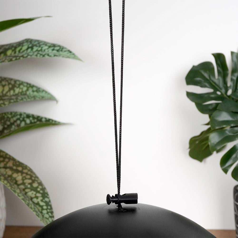 Seed Bird Feeder - Attract small birds all year round