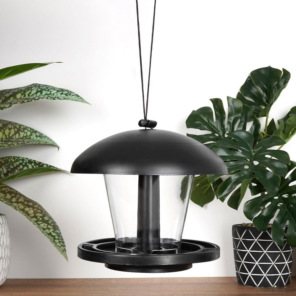 Seed Bird Feeder - Attract small birds all year round