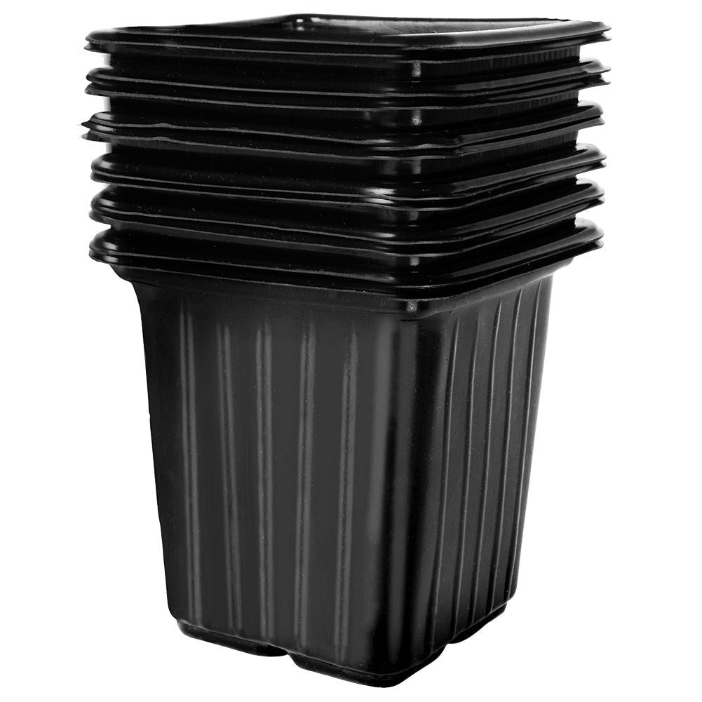 Seed pots set: 12 pcs for sowing seeds and stronger plants