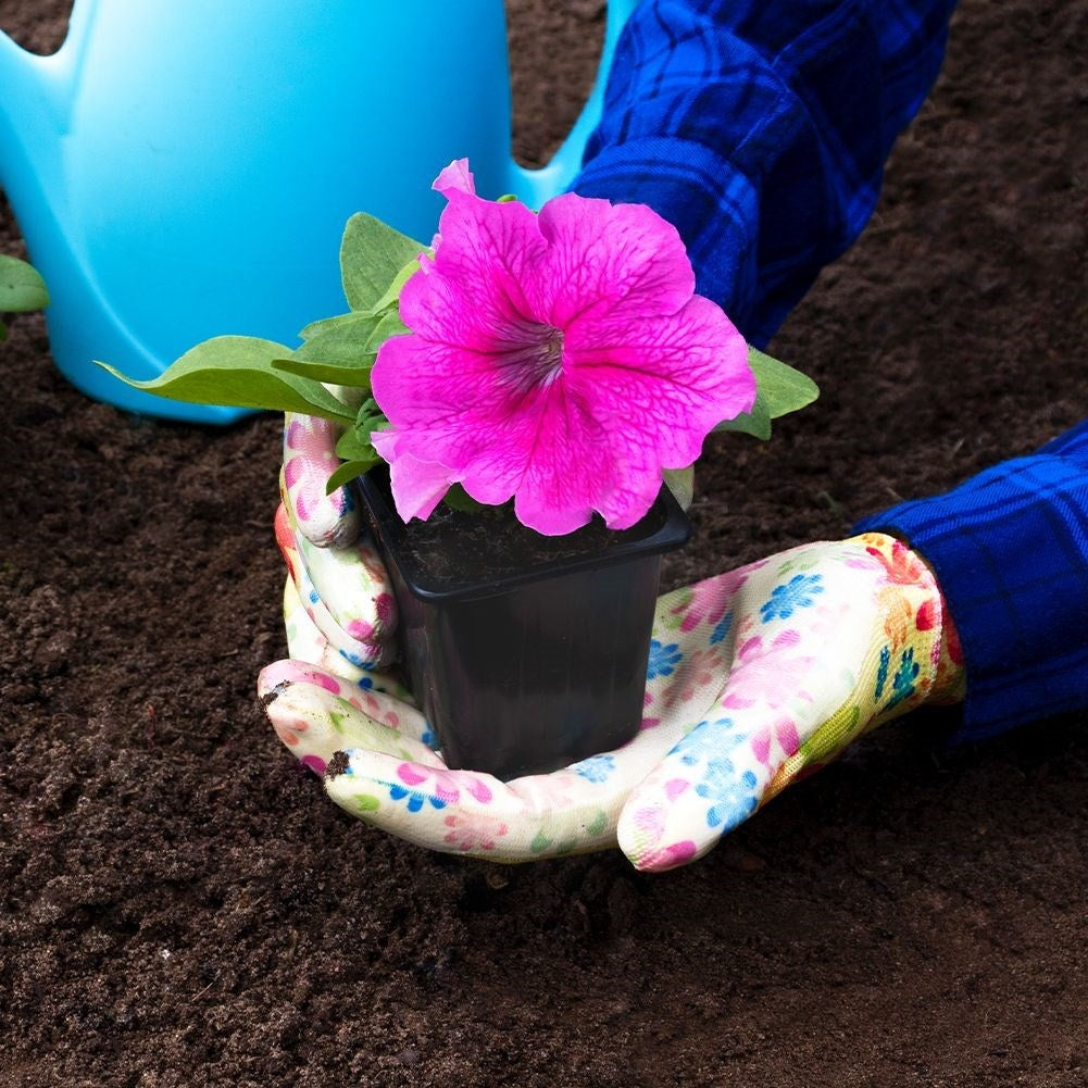 Seed pots set: 12 pcs for sowing seeds and stronger plants