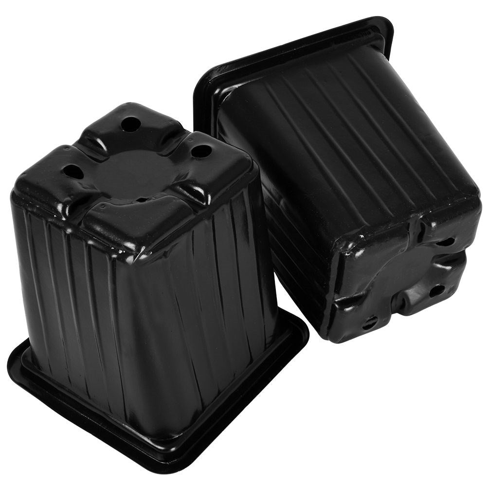 Seed pots set: 12 pcs for sowing seeds and stronger plants