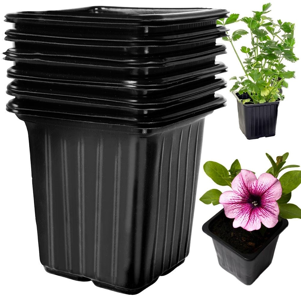 Seed pots set: 12 pcs for sowing seeds and stronger plants