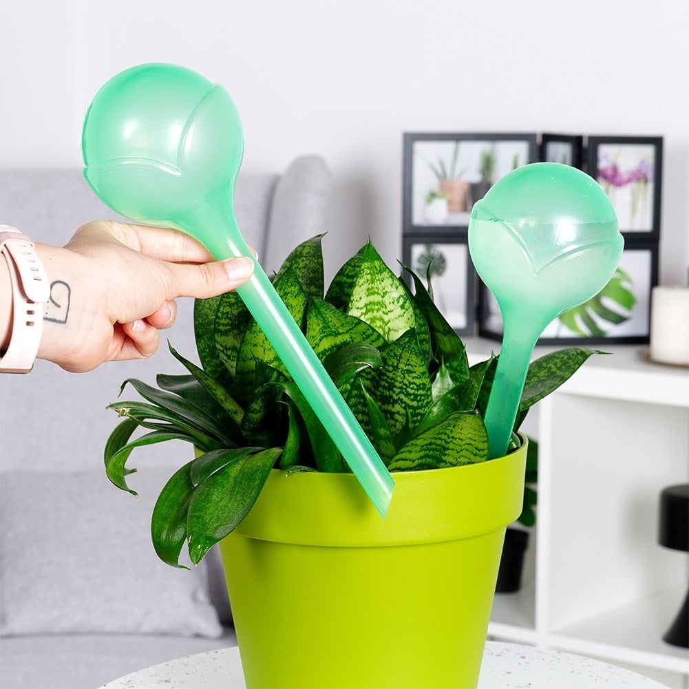 Self-Watering Balls 28cm - Green Transparent Material
