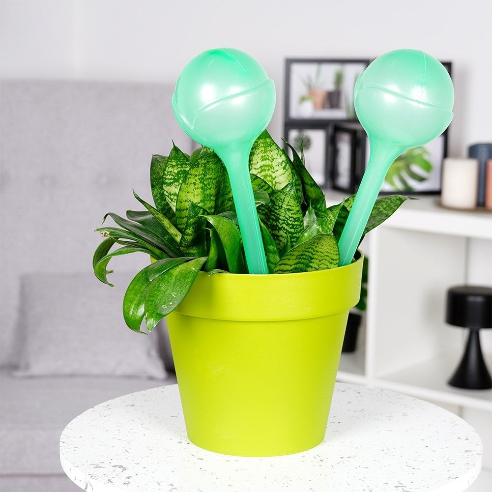 Self-Watering Balls 28cm - Green Transparent Material
