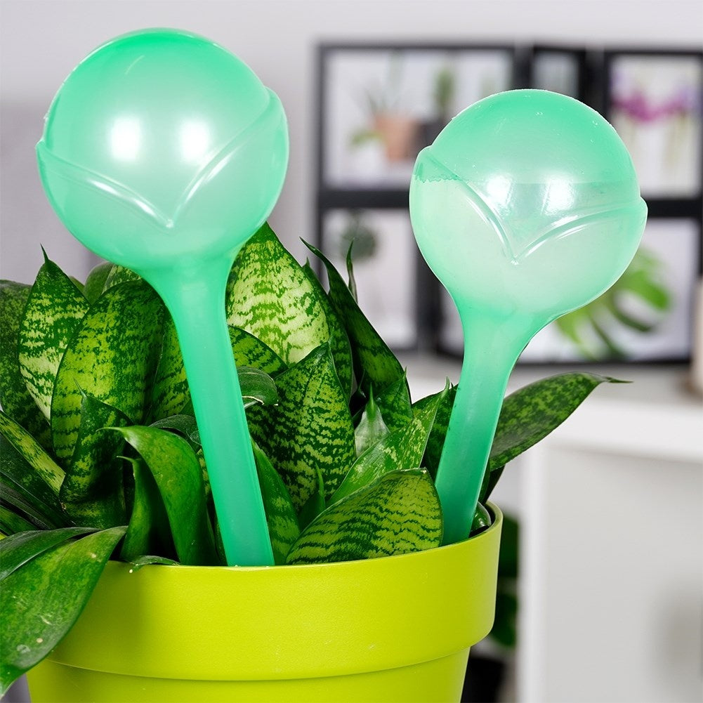 Self-Watering Balls 28cm - Green Transparent Material