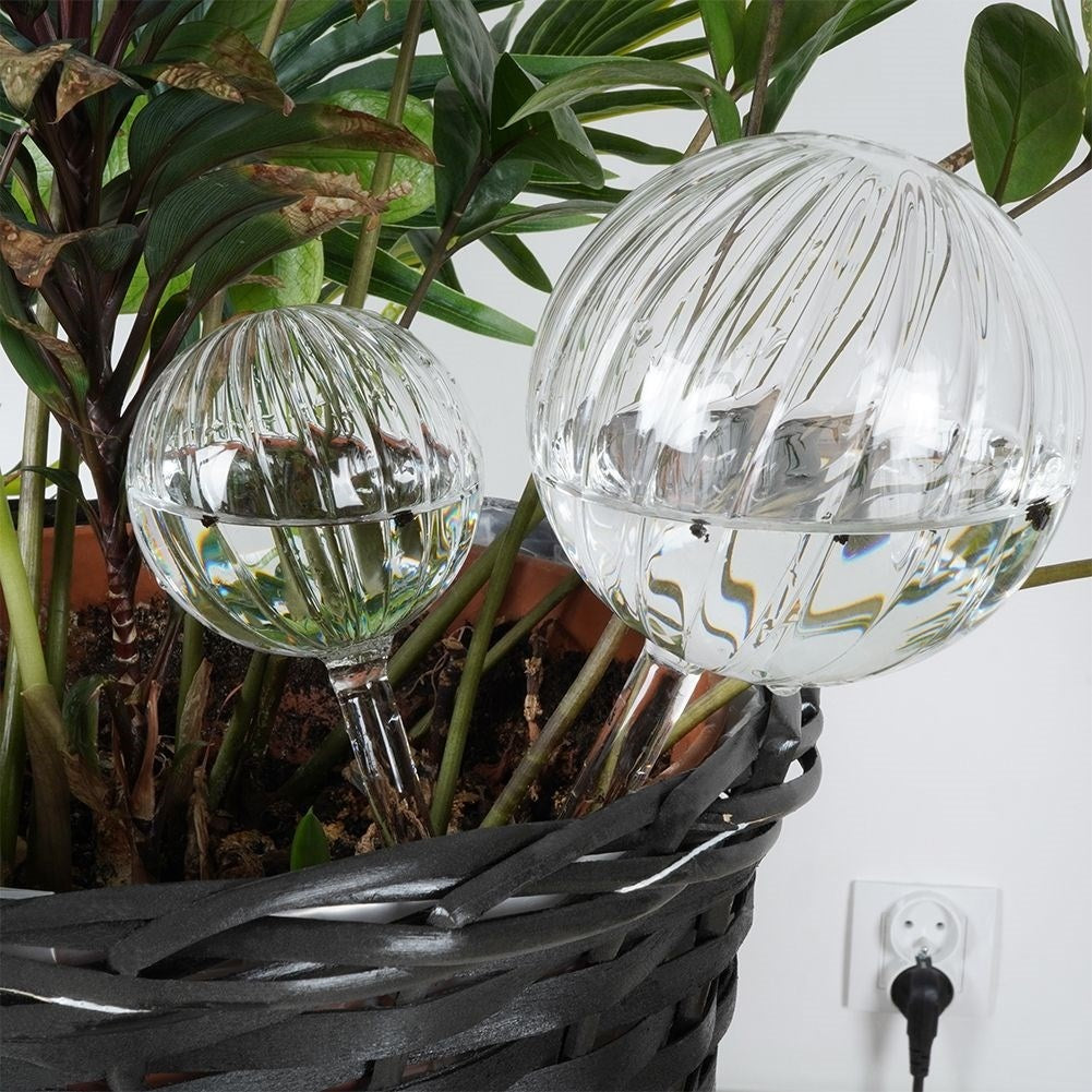 Self-watering glass balls in two sizes for plants