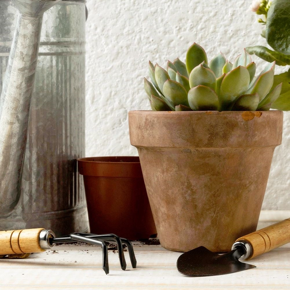Set of 2 small metal garden tools with floral pattern