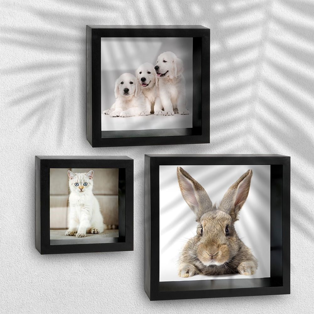 Set of 3 black photo frames in different sizes with glass front
