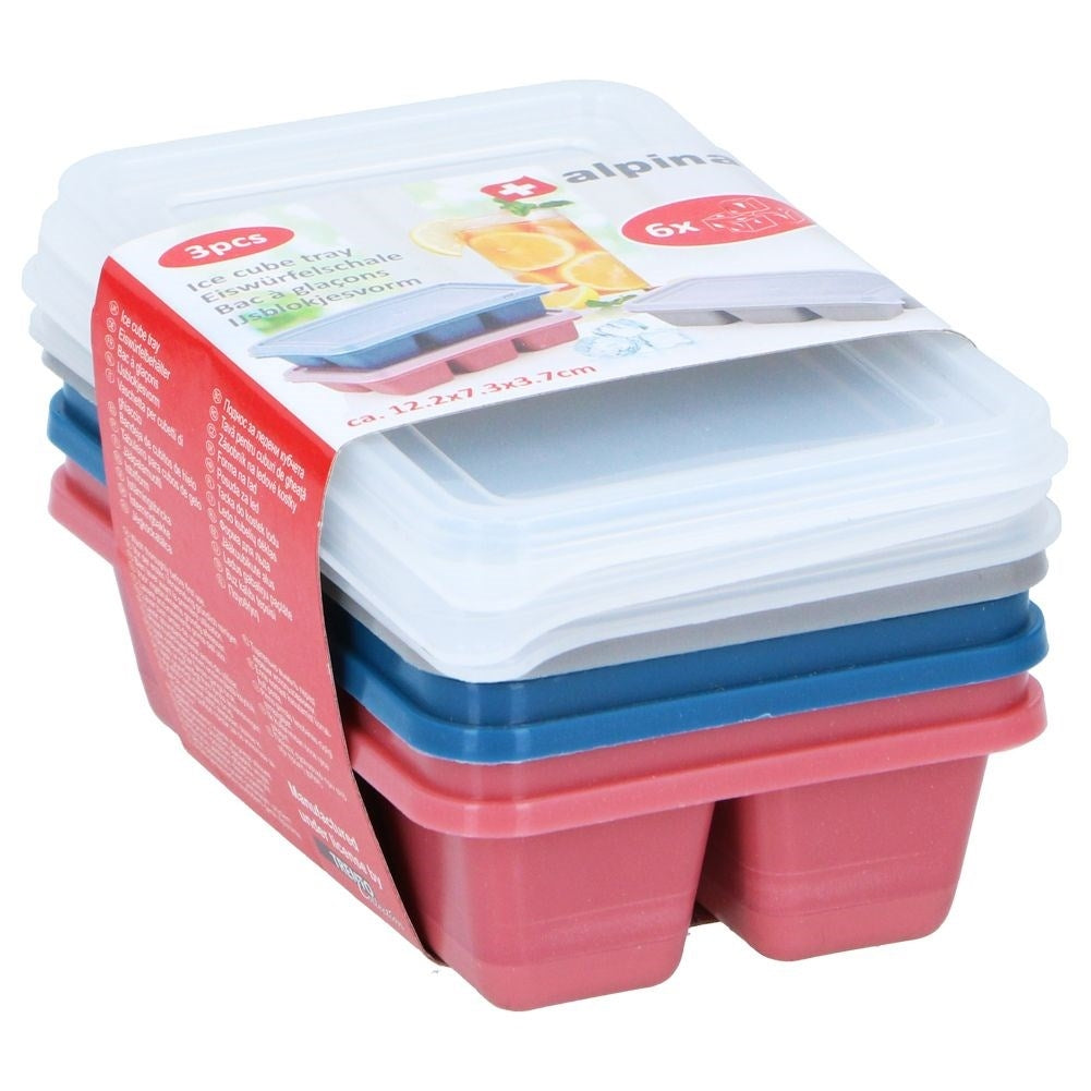 Set of 3 ice molds with lids and flexible bottoms