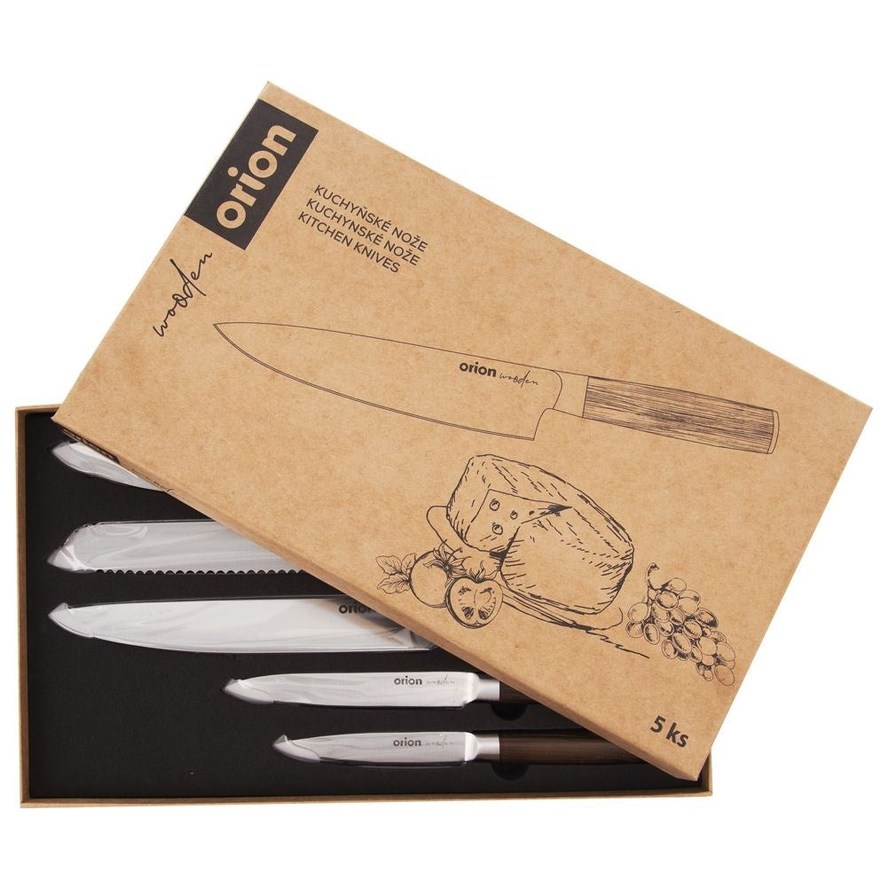 Set of 5 stainless steel kitchen knives with wooden handles