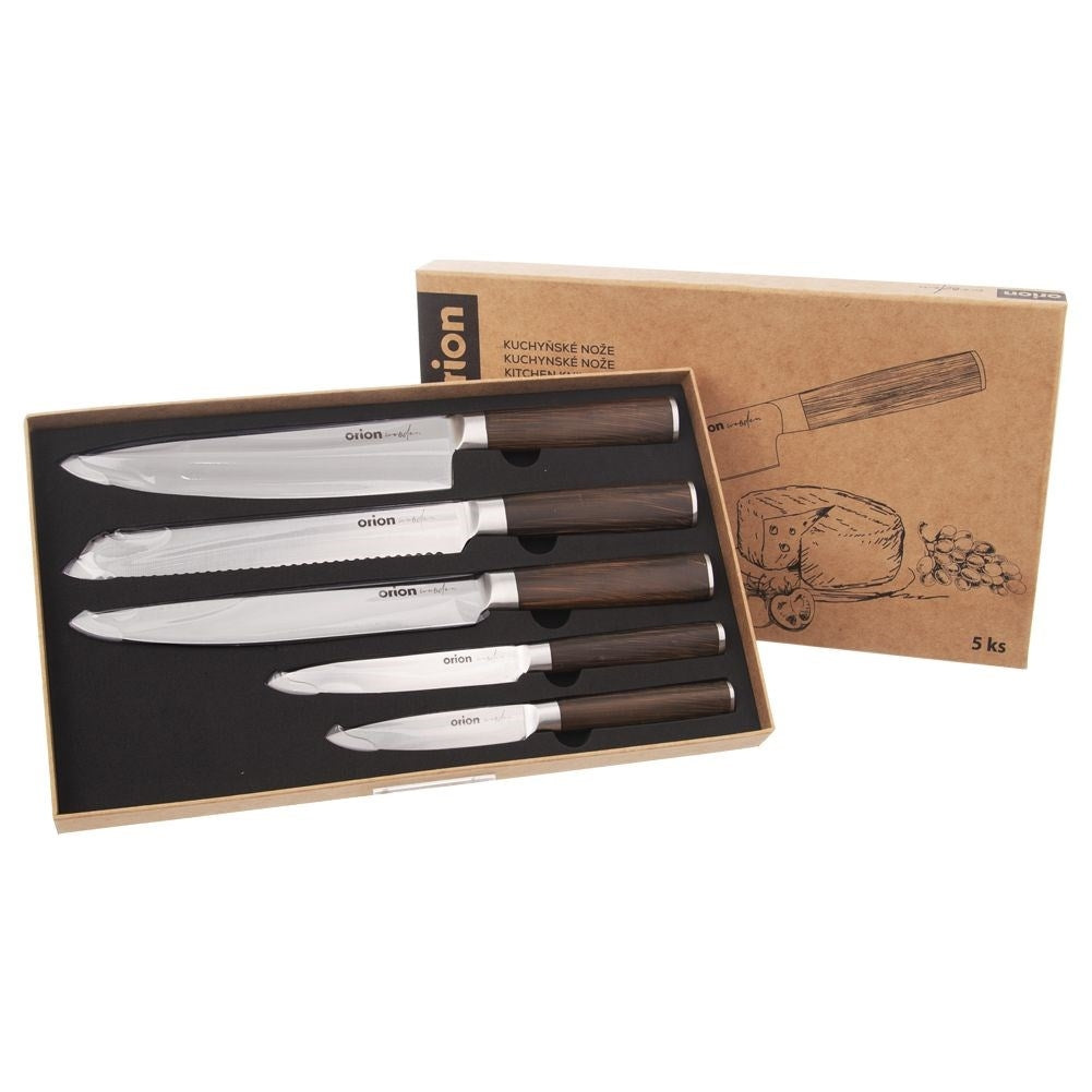 Set of 5 stainless steel kitchen knives with wooden handles