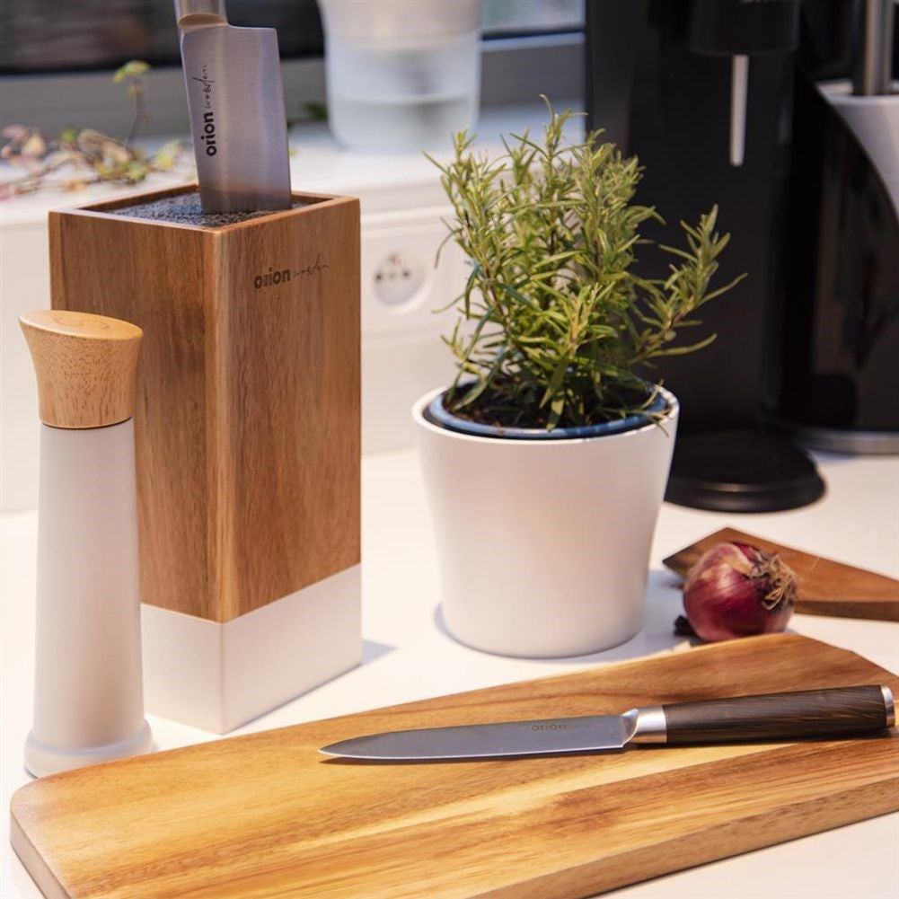 Set of 5 stainless steel kitchen knives with wooden handles