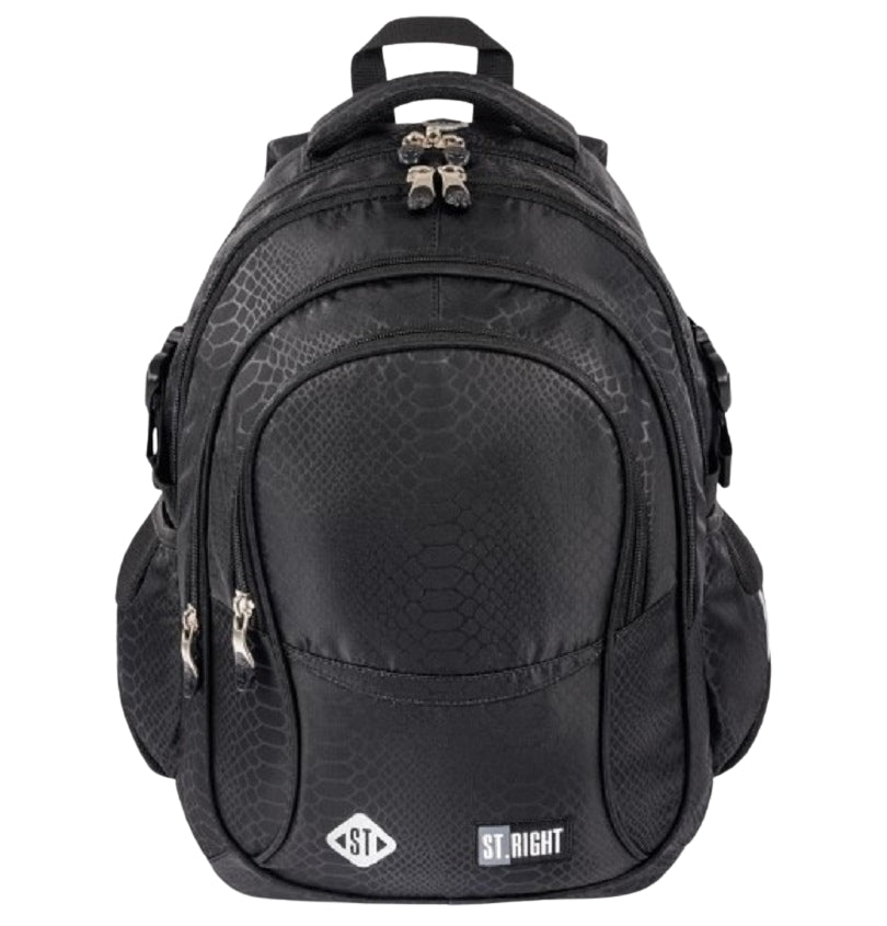 Shiny Snake 4 compartment 17 inch school backpack