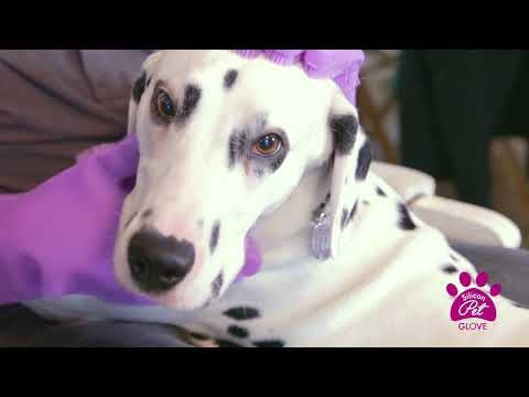 Silicon Pet Gloves - 1 pair
