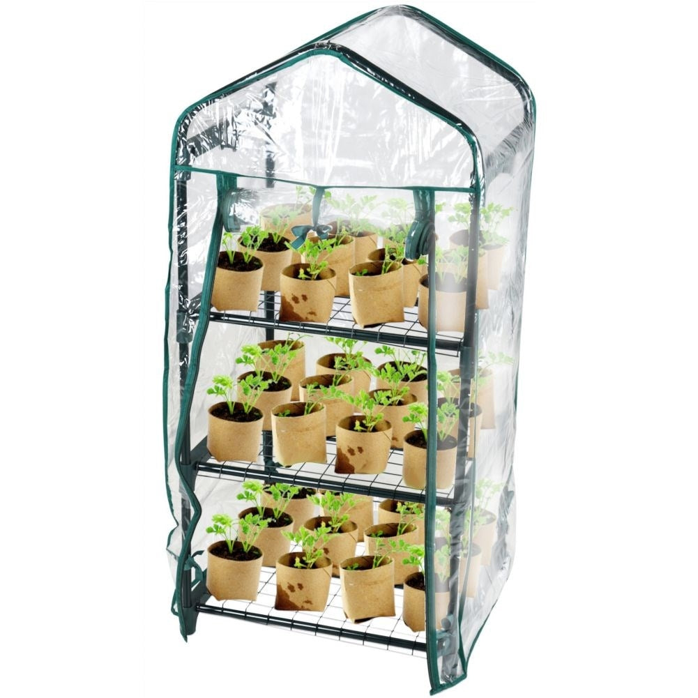 Small greenhouse for flowers, herbs and vegetables