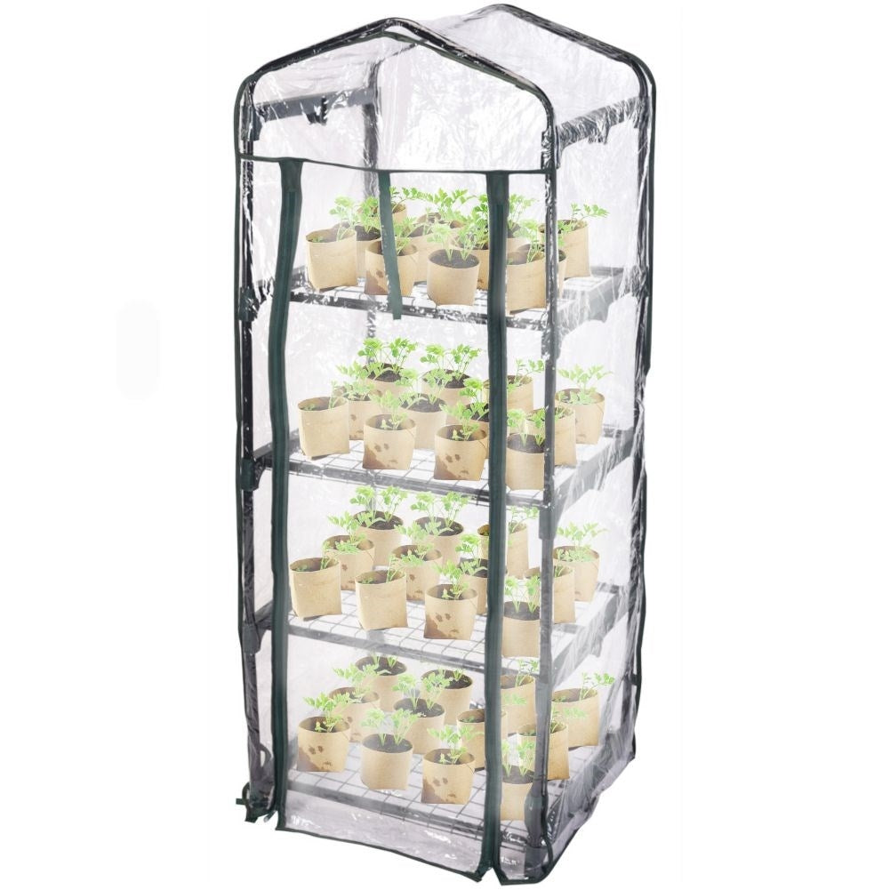 Small greenhouse for flowers, herbs and vegetables