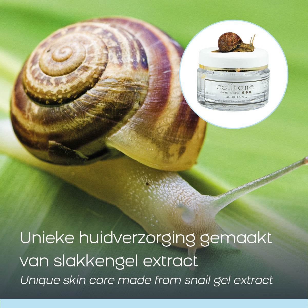 Snail Gel Face Cream with Healing Properties