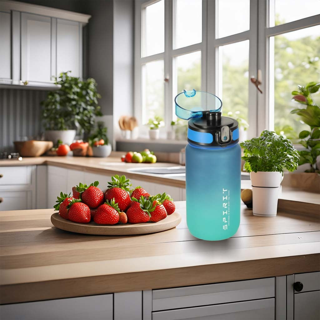 Sports Water Bottle with Straw, Handle, 600ml, Blue-Green