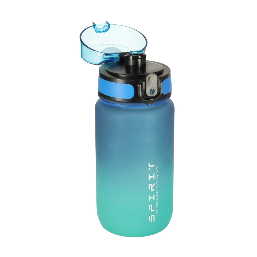 Sports Water Bottle with Straw, Handle, 600ml, Blue-Green