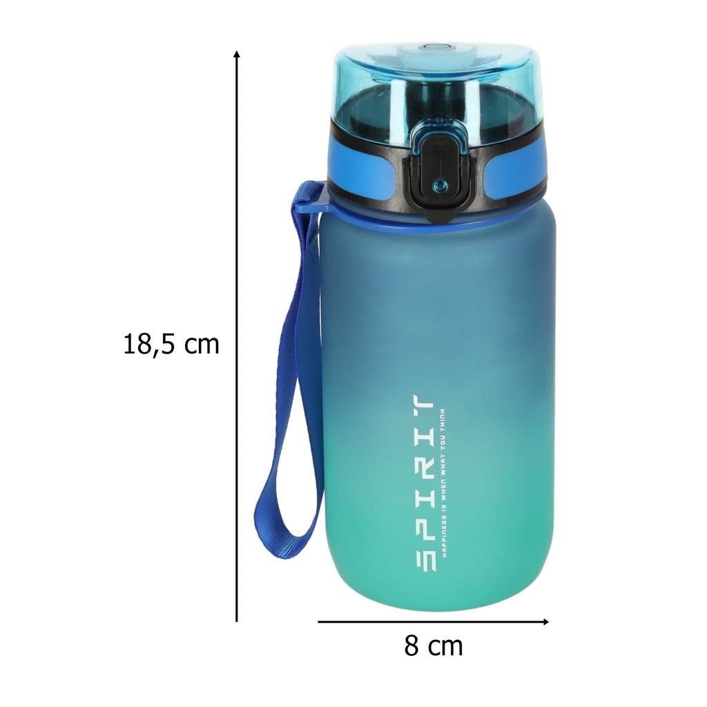 Sports Water Bottle with Straw, Handle, 600ml, Blue-Green