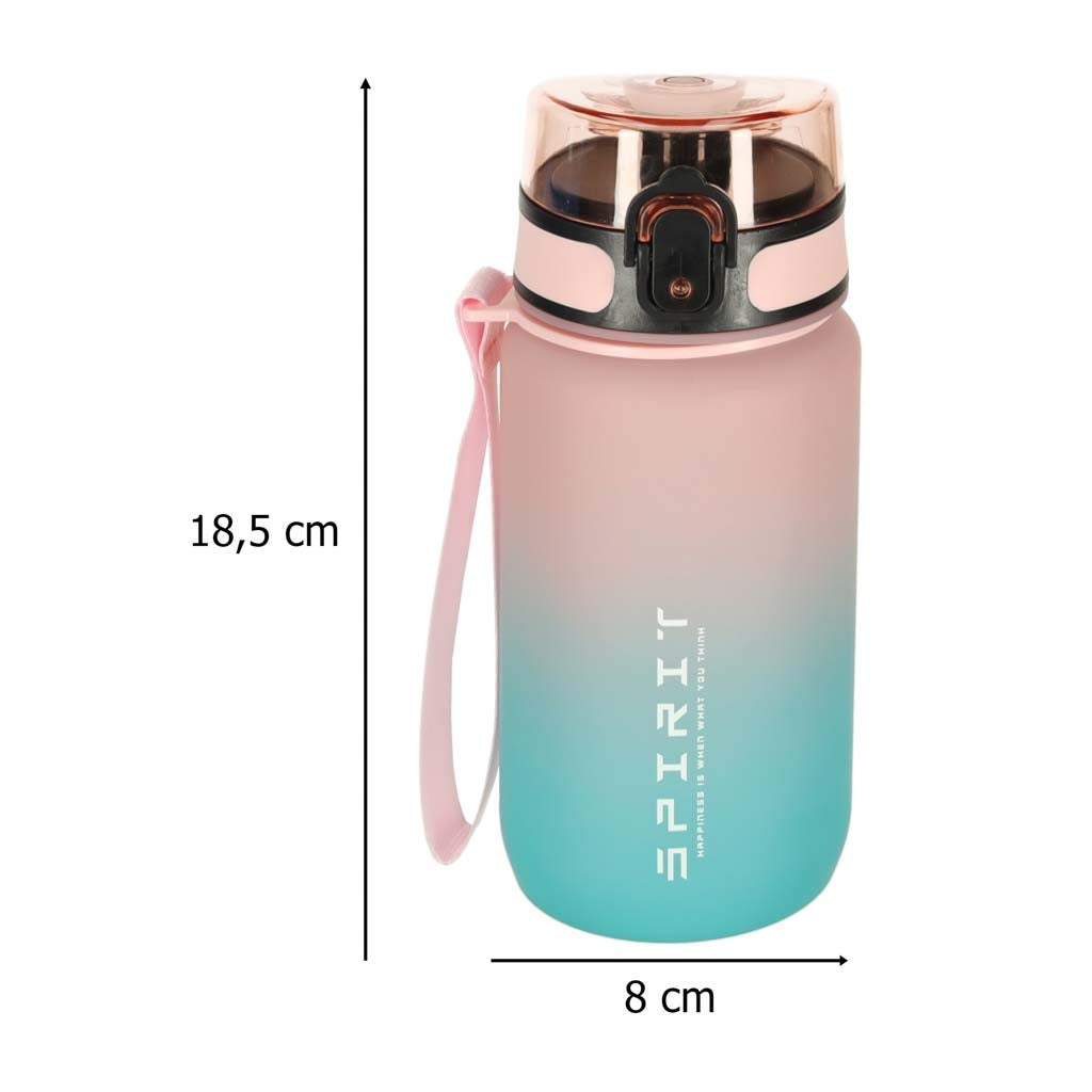 Sports Water Bottle with Straw, Handle, 600ml, Pink-Blue