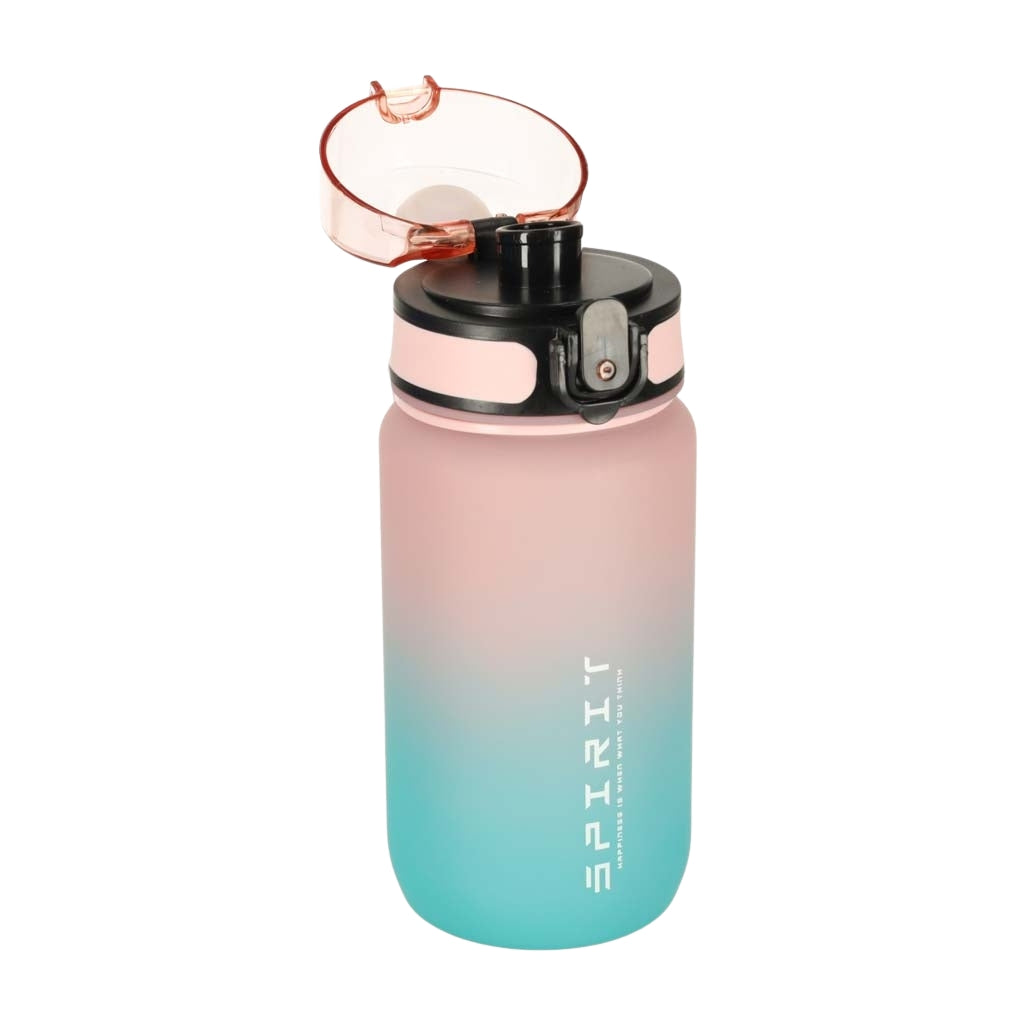 Sports Water Bottle with Straw, Handle, 600ml, Pink-Blue
