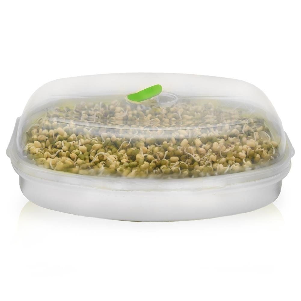 Sprout container with strainer and lid in high-quality plastic