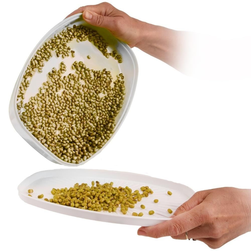 Sprout container with strainer and lid in high-quality plastic