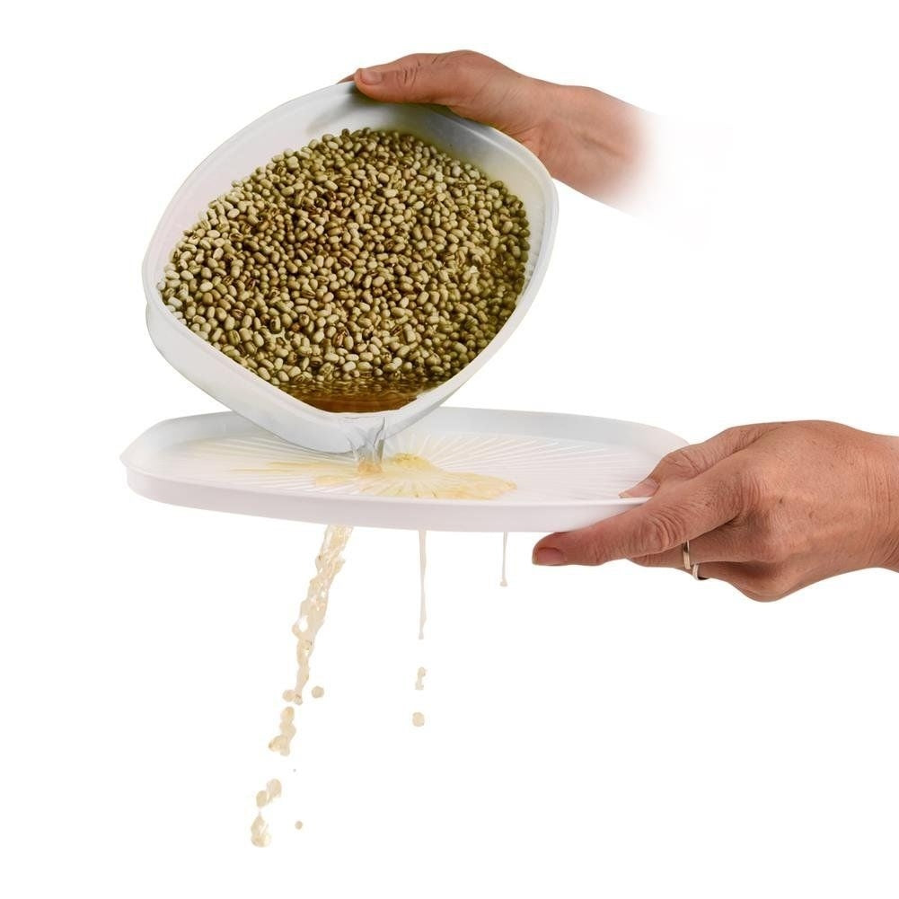 Sprout container with strainer and lid in high-quality plastic