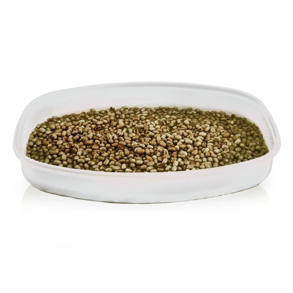 Sprout container with strainer and lid in high-quality plastic